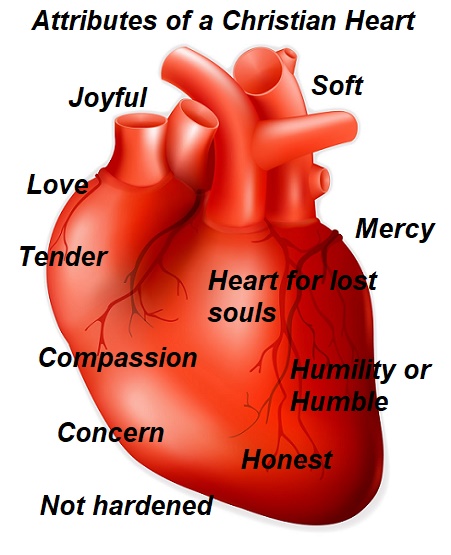 HEART_CHRISTIAN_LABELS.jpg - 84.23 kB