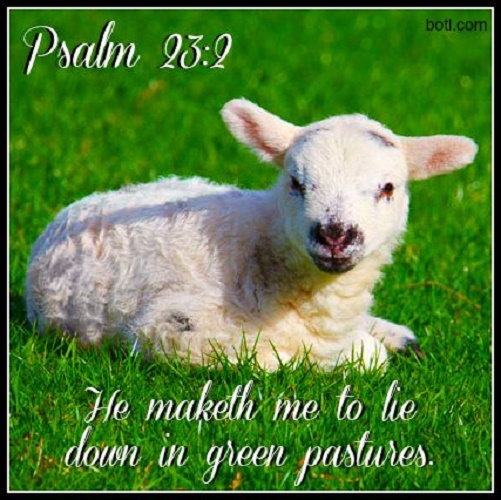 PSALM_23V2.jpg - 115.25 kB