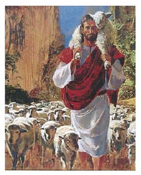 SHEPHERD-GOOD.jpg - 53.42 kB